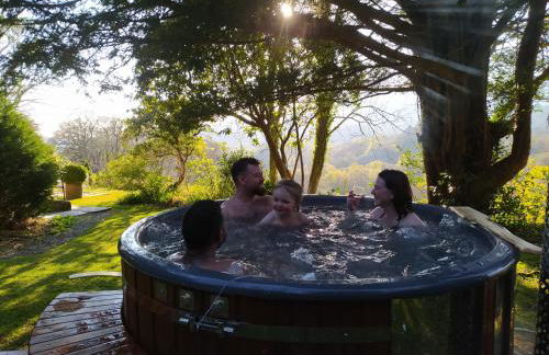 Cae'r Blaidd Country House - Foto 2