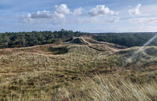 6 Person Holiday Home in Thyholm-by Traum - Photo 11