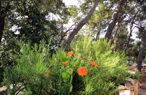 Apartments by the sea Jagodna, Hvar - 3457 - Foto 8