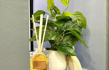 Private Lakeside Master Suite - Explore San Francisco's Urban Nature Galore - Foto 13