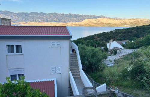 Apartmani Fijan - Photo 8