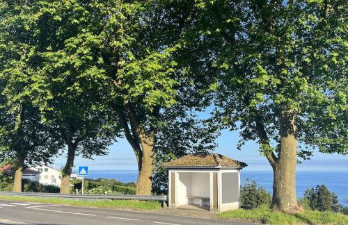 Casa dos 4 Platanos - Photo 6