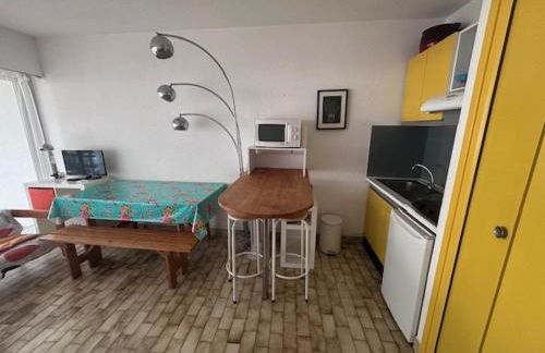 Studio-Cabine 4 Pers, Terrasse, Jardin, Parking, Animaux admis - FR-1-731-99 - Foto 3