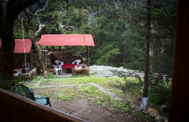 Los Vagones Cabañas Restaurante Bar - Photo 69