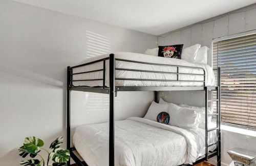 Poinsettia - Foto 26