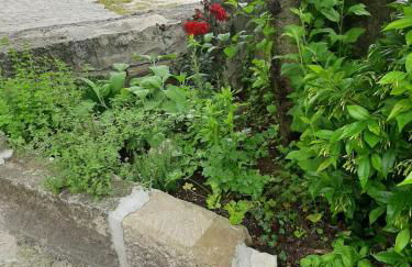 IL CAMINETTO - Foto 25