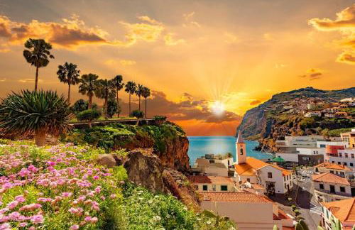 Botanica Living Magnolia Apt - Foto 32