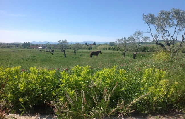 Masseria Fontana dei Fieri - Foto 41