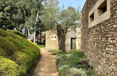 Bosque da Harmonia - Foto 7