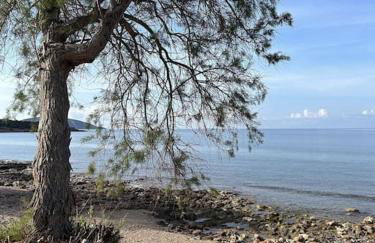 Sunny Modern Beach Retreat Steps from the Shore - Photo 27