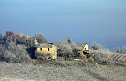 Cascina Alberta - Foto 24