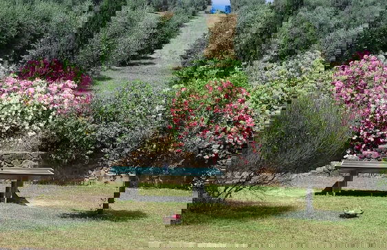 Agriturismo Podere Casalone - Foto 59