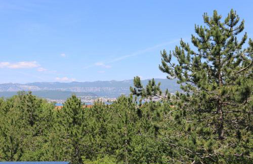 Apartments Dudovic - Photo 16