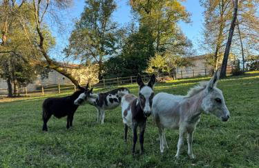 Domaine Epona - Foto 8