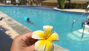 Apartamento em Subaúma no Resort Tree Bies - Foto 1