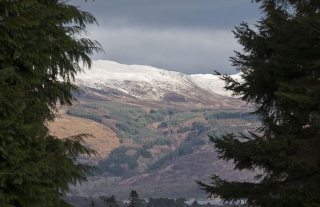 Shegarton Farm Cottages - Foto 16