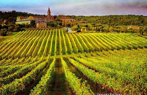 Borgo San Gusmè - Foto 17