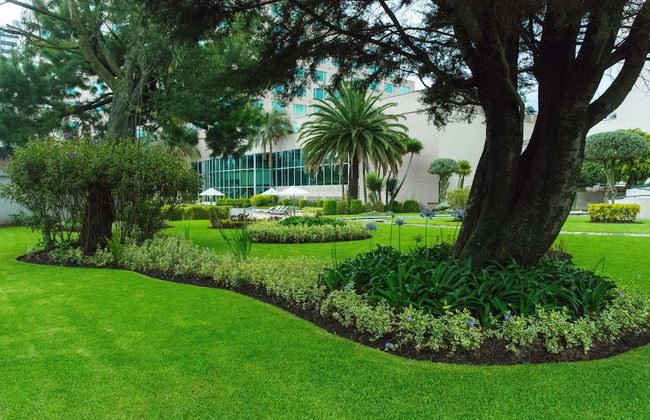 Torres de Suites by InAmazonas - Photo 31