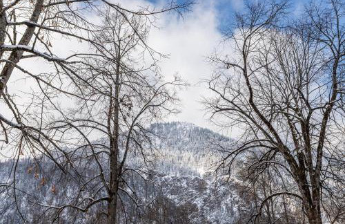 Voglsang - Haus Annamirl - Foto 22