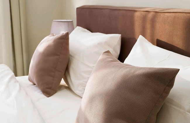 BIRD NEST Near AUC - Foto 6