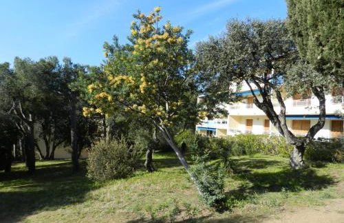 Appartement 3 pièces, terrasse, 4 pers. - FR-1-251-890 - Foto 14