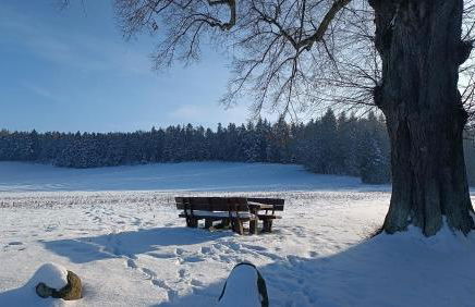 Kleines Paradies am Waldrand - Photo 29