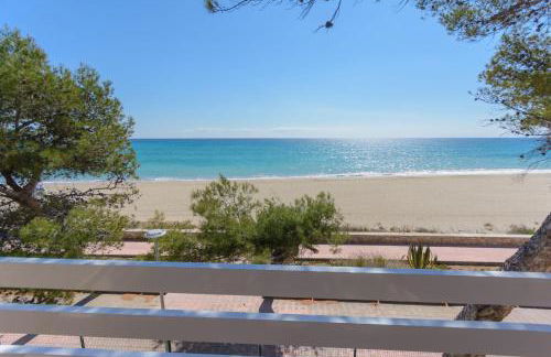 Zeus Guardamar Seaview - Foto 14