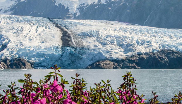 Portage Glacier + Wildlife Conservation Center
