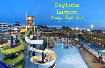 *NEW* Gorgeous Sunshine - 2BD/1BA - Private Fenced Backyard! - Photo 21