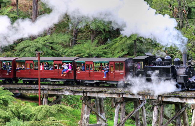 Puffing Billy & Healesville Sanctuary Day Trip - Photo 7