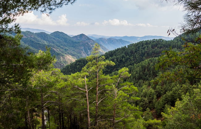 Sanders Arsorama - Sweet 1-bdr Apt w/ Shared Patio - Foto 29