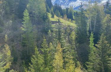 vue splendide montagnes centre village pieds des pistes et remontées Mécaniques - Foto 47