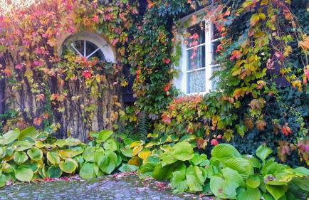 Willa Reglówka Stylowy dom Pachnący ogród - Foto 28