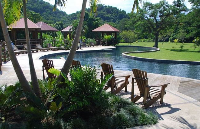 Chukka Appleton Estate & YS Falls - Negril - Foto 8