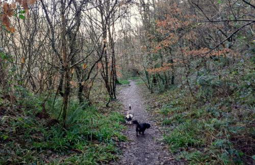 The Lodge - Photo 30