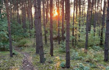 Wielkopolska Szydłówiec - Foto 14