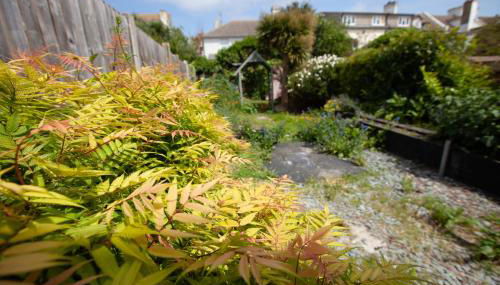 Beach palace - Foto 5