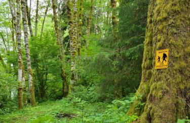 A Relaxing Getaway-A Backwoods Cabin SolDuc River - Foto 45