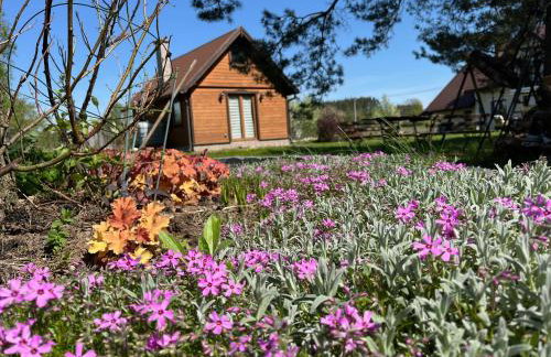 Domek wypoczynkowy Letnisko Sosenkowo - Foto 60