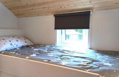 CABIN 8 Pet friendly Family glamping Seaview - Photo 13