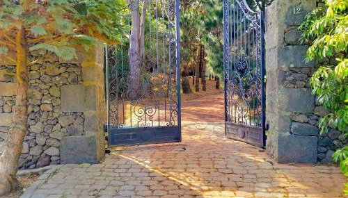 Gala Da Vittoria - Foto 2