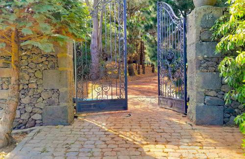 Gala Da Vittoria - Foto 2