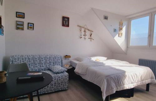 l'Ecrin de l'Aa - Les Mouettes - Foto 9