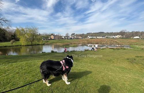 The Cosy Hedgerow - Foto 16