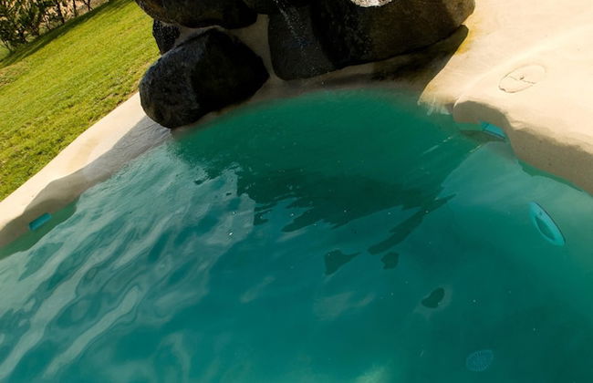 Ardea Purpurea Lodge - Photo 35