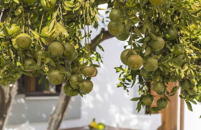 Casa La Perla - Foto 29