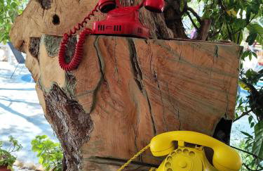 Asmanis Rooms - Photo 7