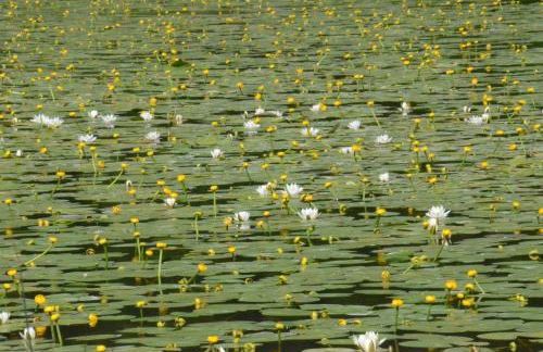 Chalet Laila - Foto 30