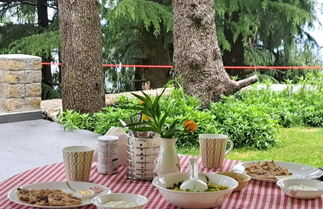 BluSalzz Villas - The Pine Tree, Dalhousie - Himachal Pradesh - Foto 41