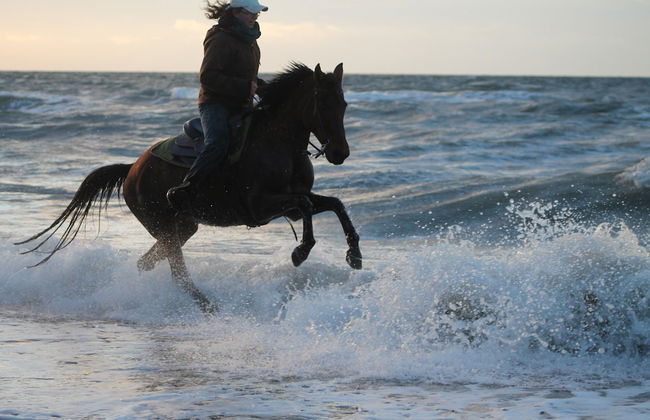 Modern Holiday Home in Brusow With Roofed Terrace - Foto 46